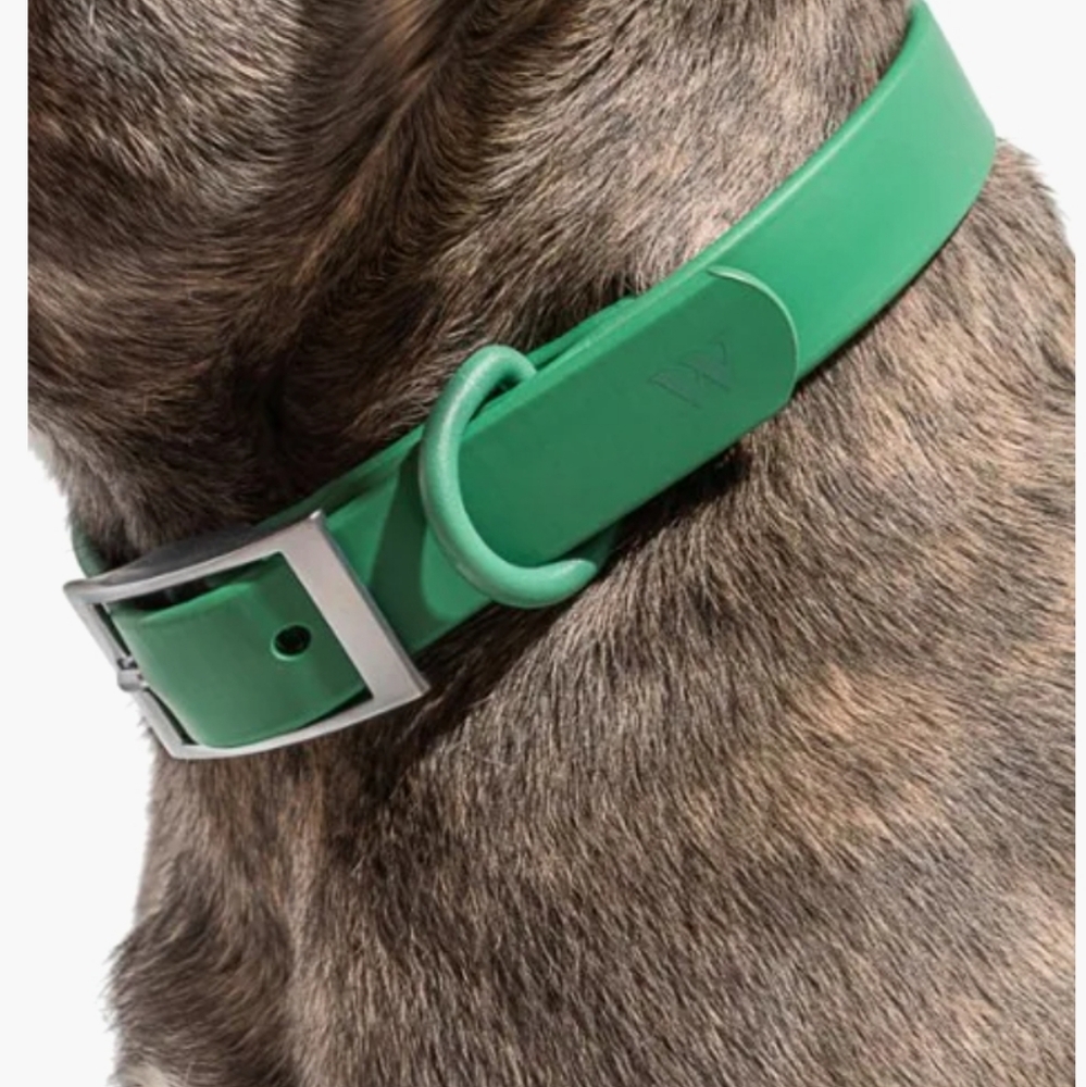 Wild One - Waterproof Dog Collar - M - Picture 5 of 6